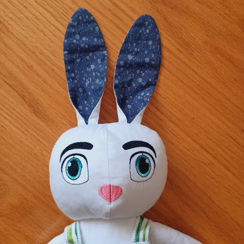 EW379 ITH Boy Rabbit
