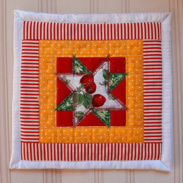 EWC208 ITH Quilted Star Potholders