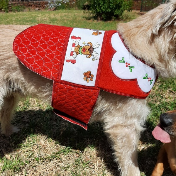 EWC243 Santa Paws Doggy Coat