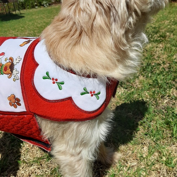 EWC243 Santa Paws Doggy Coat