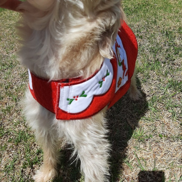 EWC243 Santa Paws Doggy Coat