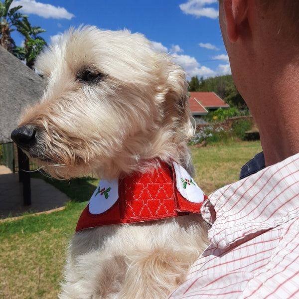 EWC243 Santa Paws Doggy Coat