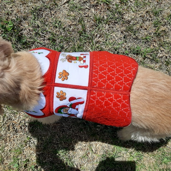EWC243 Santa Paws Doggy Coat