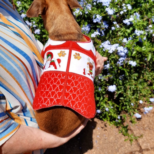 EWC243 Santa Paws Doggy Coat