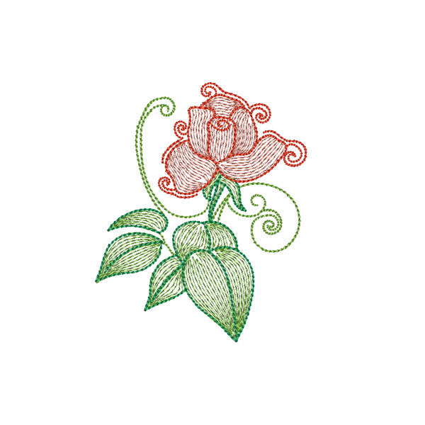 EW218 - Decorative Roses