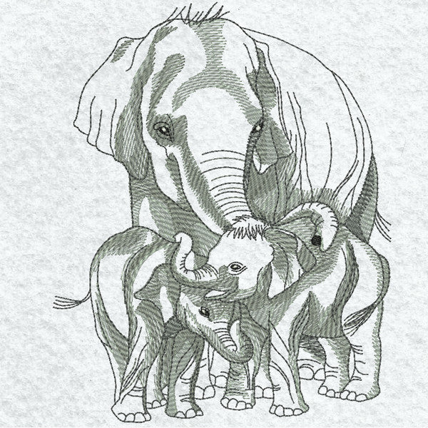 EW219  Pencil Sketch Elephants