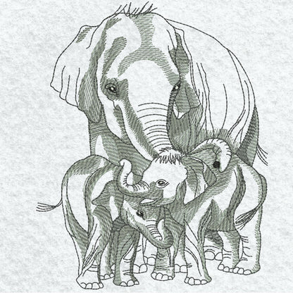 EW219  Pencil Sketch Elephants