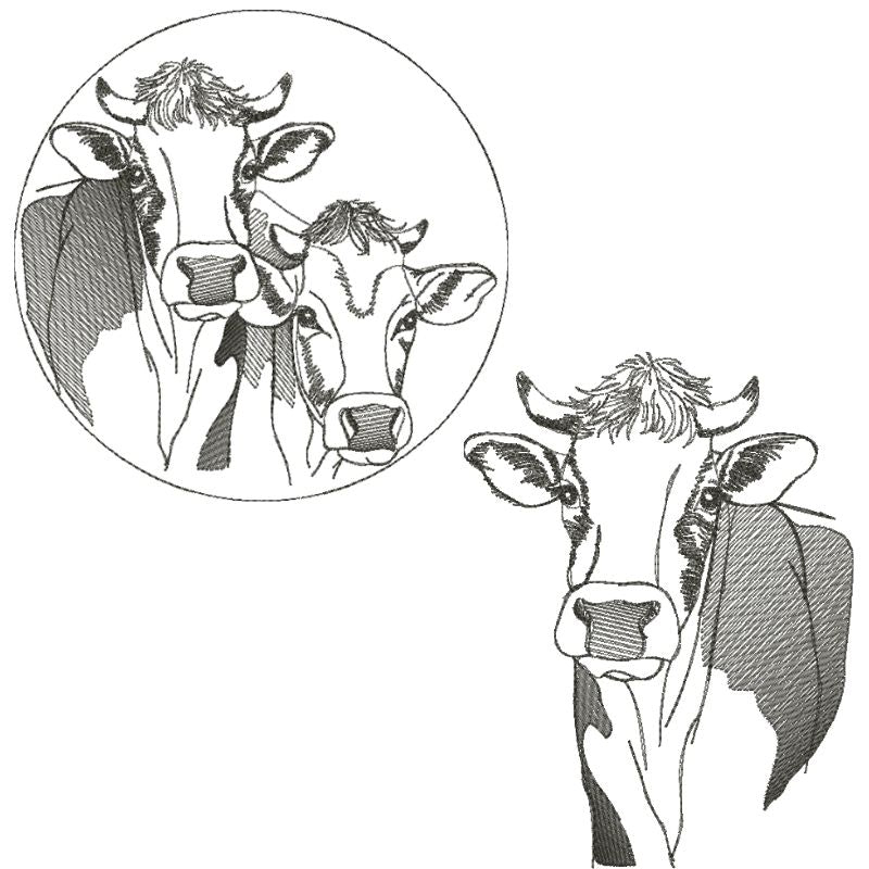 EW428  Doodle Sketch Cows