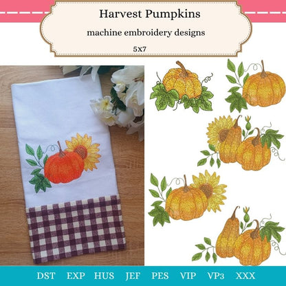 EW455 - Harvest Pumpkins