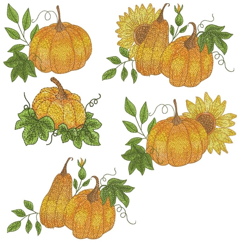 EW455 - Harvest Pumpkins
