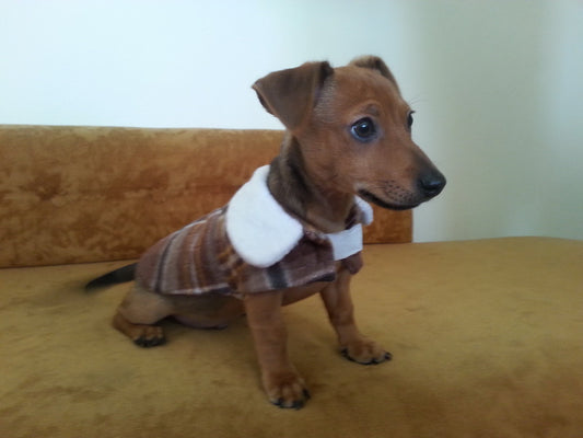 EWC104  Doggy Coats