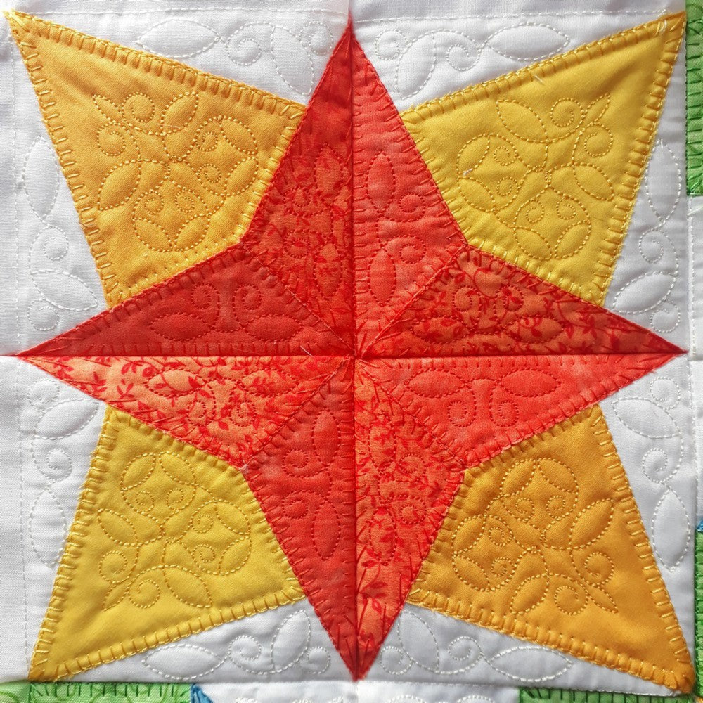 EWV312  Clay's Star