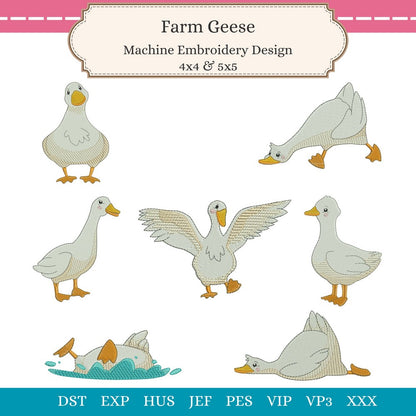 EWV377 - Farm Geese Collection
